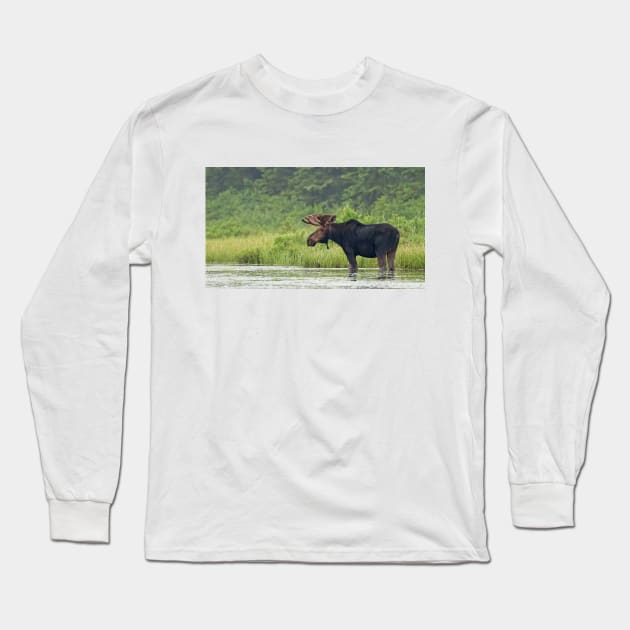 Bull Moose - Algonquin Park, Canada Long Sleeve T-Shirt by Jim Cumming